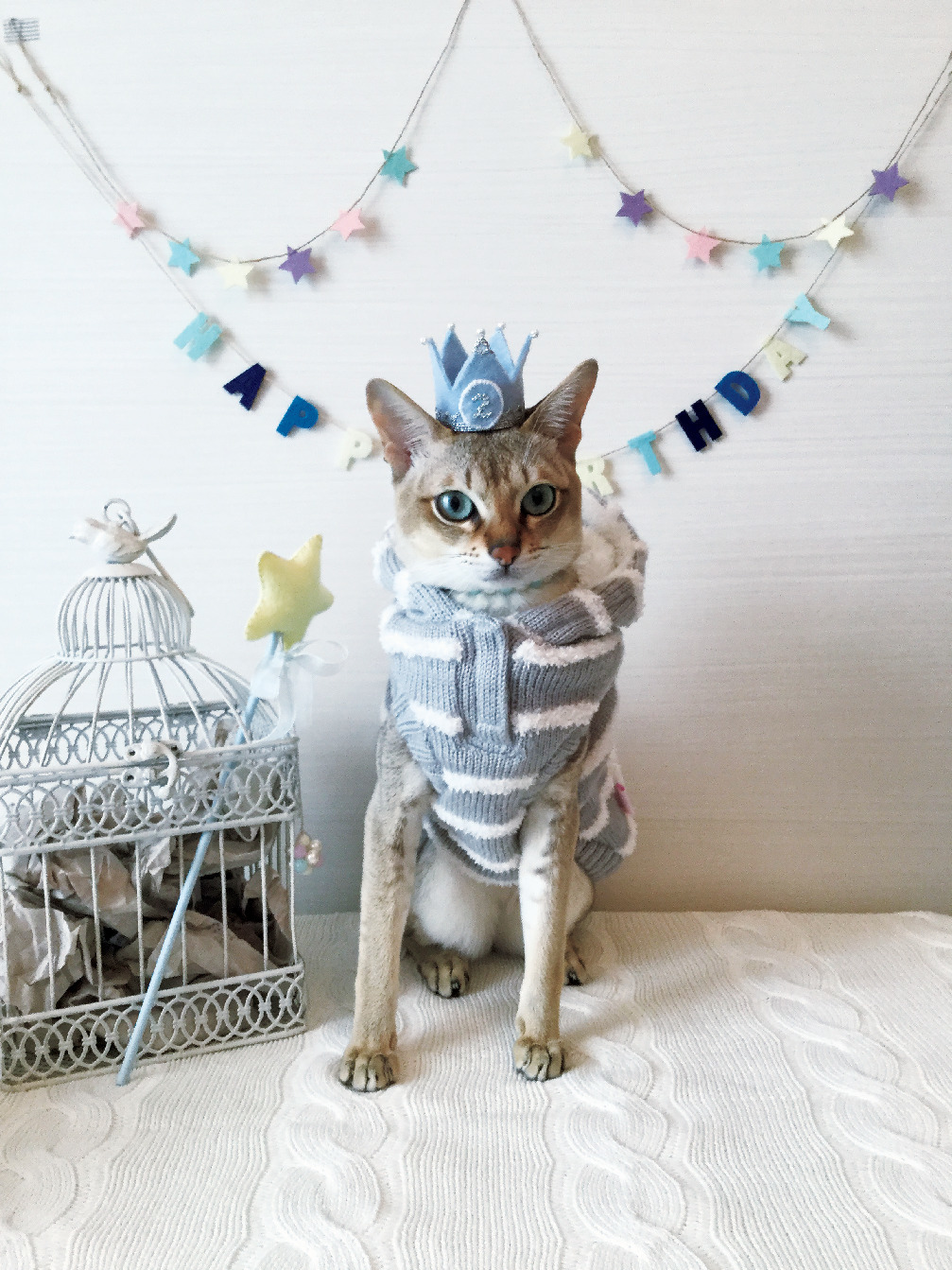 4ページ目 かわいくておもしろい インスタで集めた心が和む猫フォト五選 Web Eclat 50代女性のためのファッション ビューティ ライフスタイル最新情報