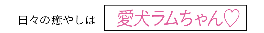 日々の癒やしは 愛犬ラムちゃん♡