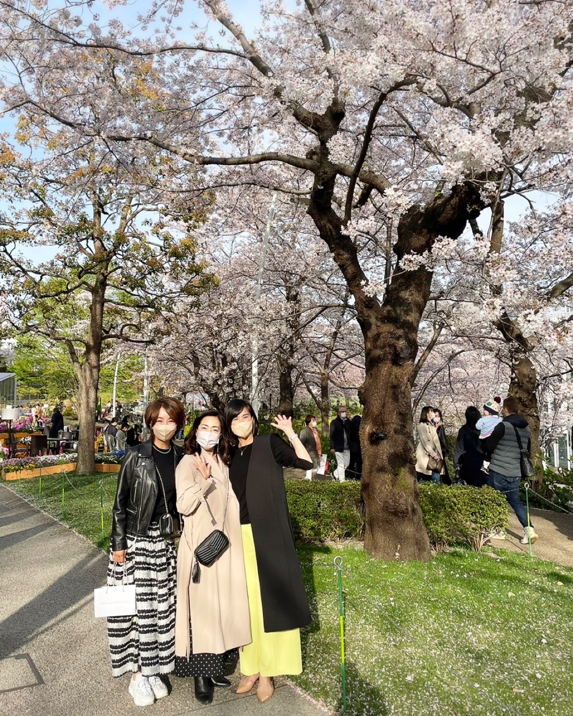 1お花見衣裳 白さ 桜んぼパパ Whirledpies Com