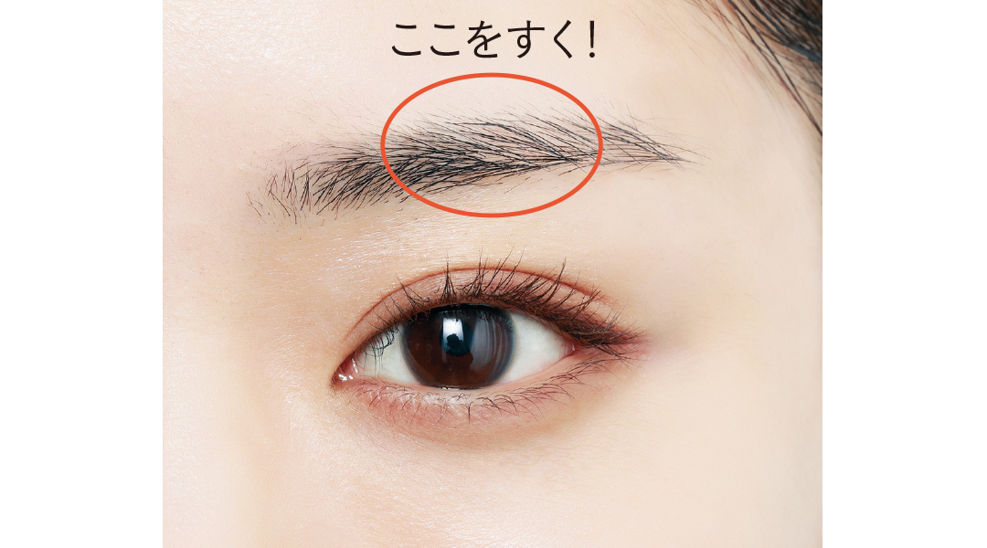 眉毛カットのポイント