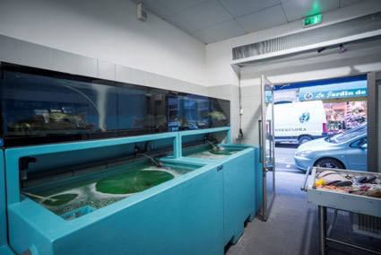 パリで魚屋も開く。銀座小十店主の「日本料理を世界食にする」挑戦|Forbes JAPAN_1_6