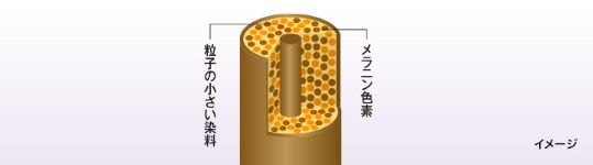 応募終了 Wella ウエラ しっかり染まるおしゃれな白髪染めを6名様にプレゼント Web Eclatメルマガ特典 Web Eclat 50代女性のためのファッション ビューティ ライフスタイル最新情報