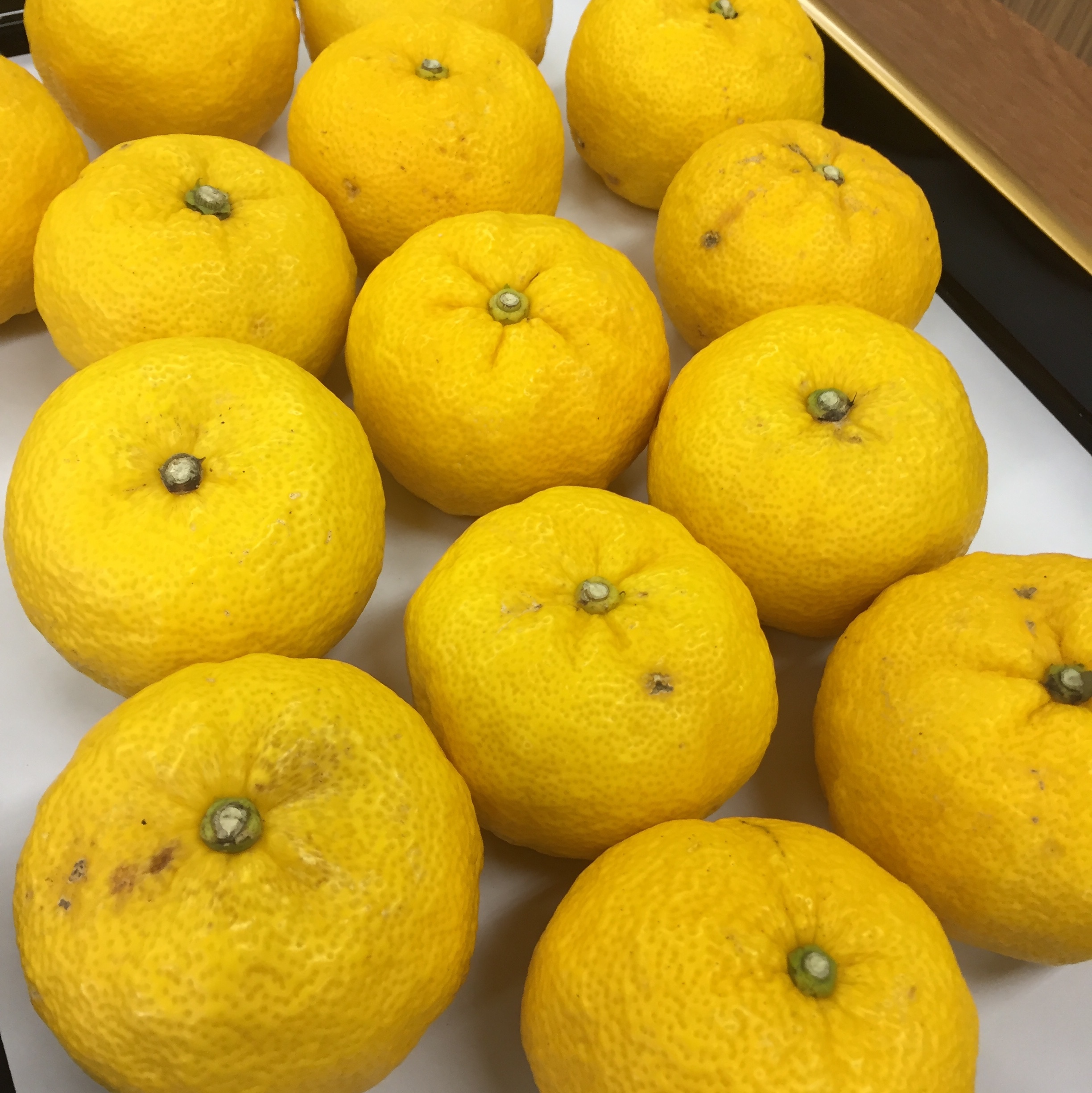 冬の行事あれこれ_1_2