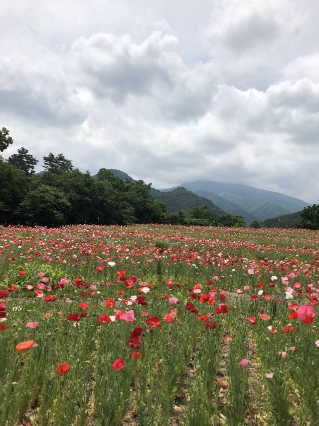 再び安曇野の旅〜その②_1_5