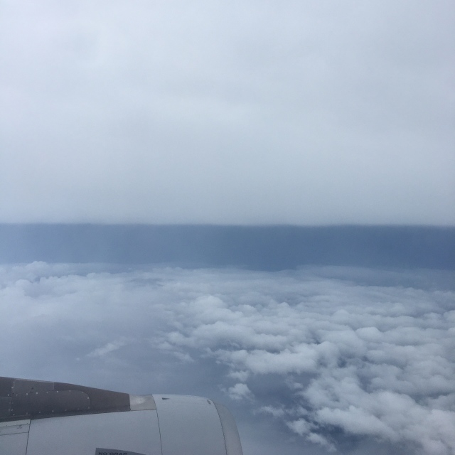 新型コロナ禍における空の移動✈︎_1_3