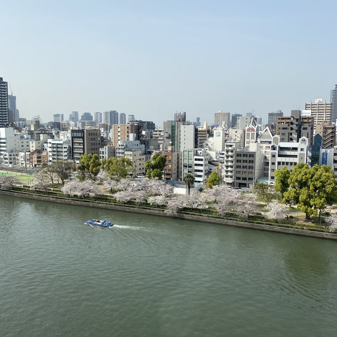 北新地でランチの後は桜の名所までお散歩♫_1_6