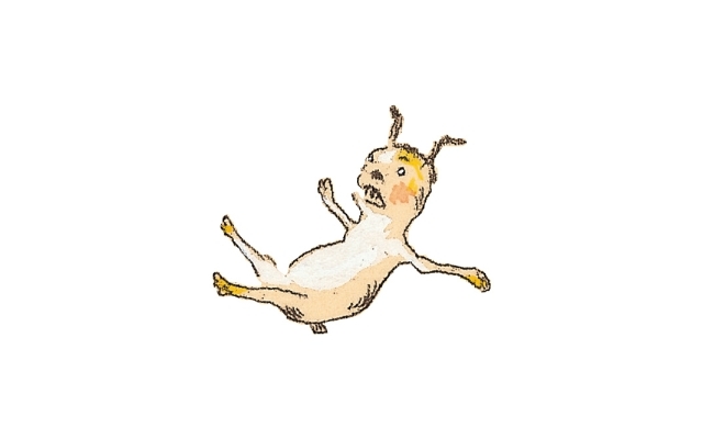 山本容子さんの版画:犬