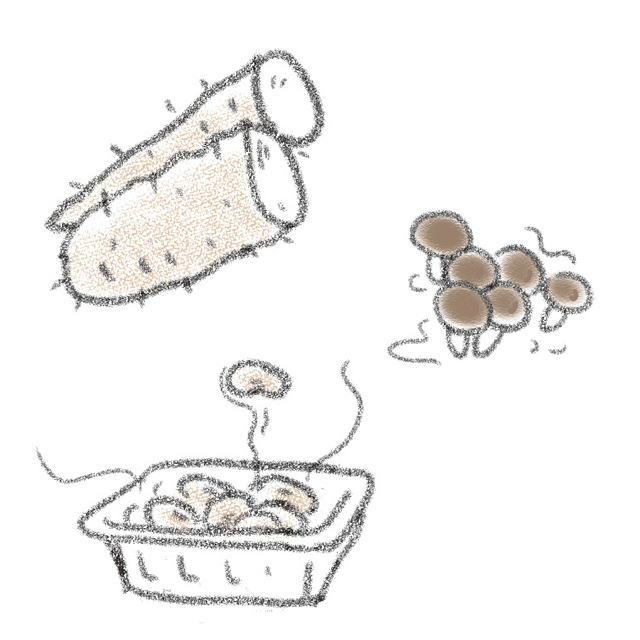 ネバネバ食材(納豆、山いも、なめこなど)