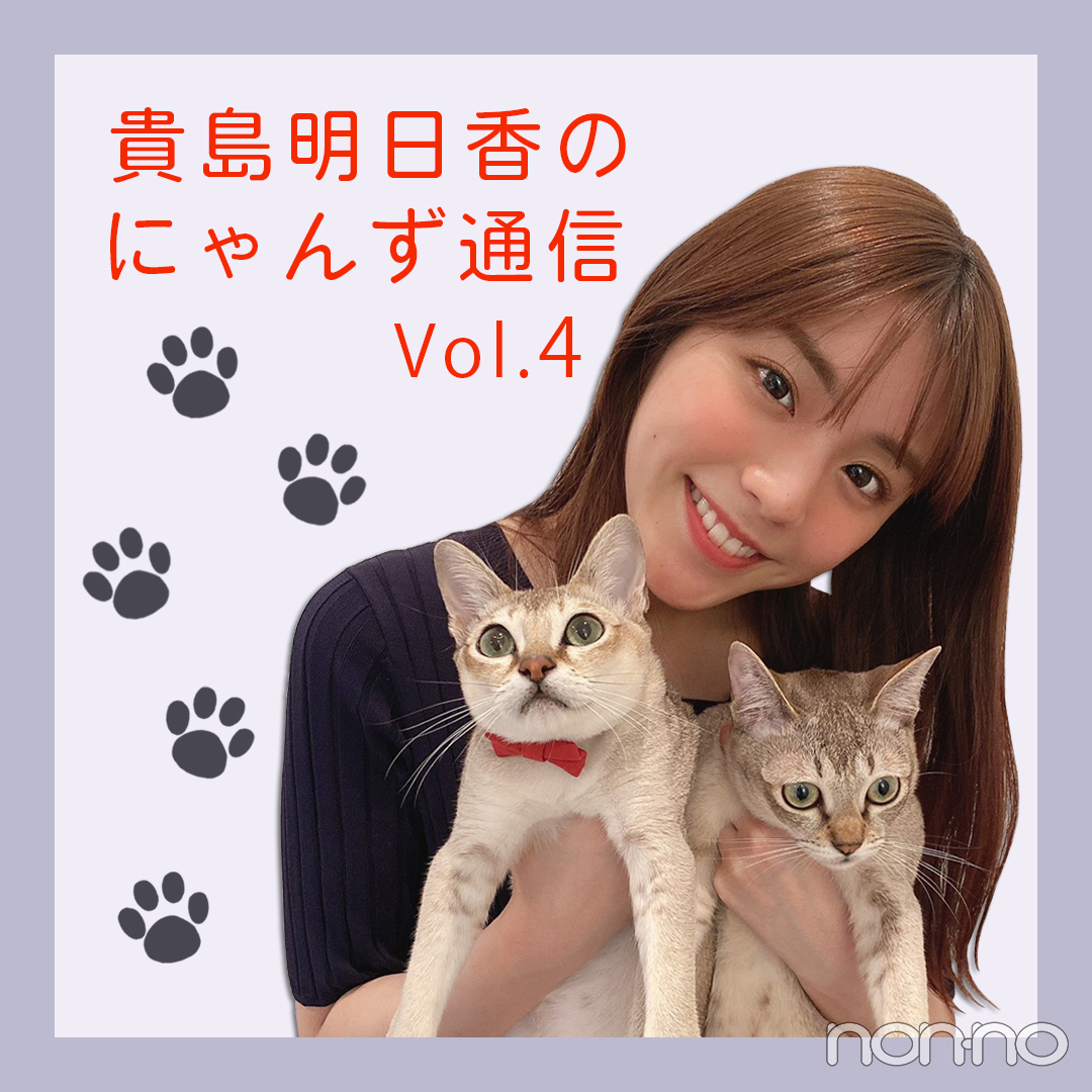 ノンノモデルが愛猫トーク 貴島明日香のにゃんず通信 04 にゃんずのお気に入り Non No Web ファッション 美容 モデル情報を毎日お届け