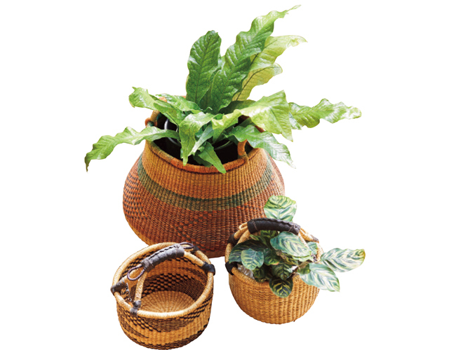 鉢カバーにしたアフリカのボルガバスケット¥4,180〜(植物別)