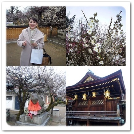 桜の前に出掛けてみませんか?京都で出会う梅の頃_1_3