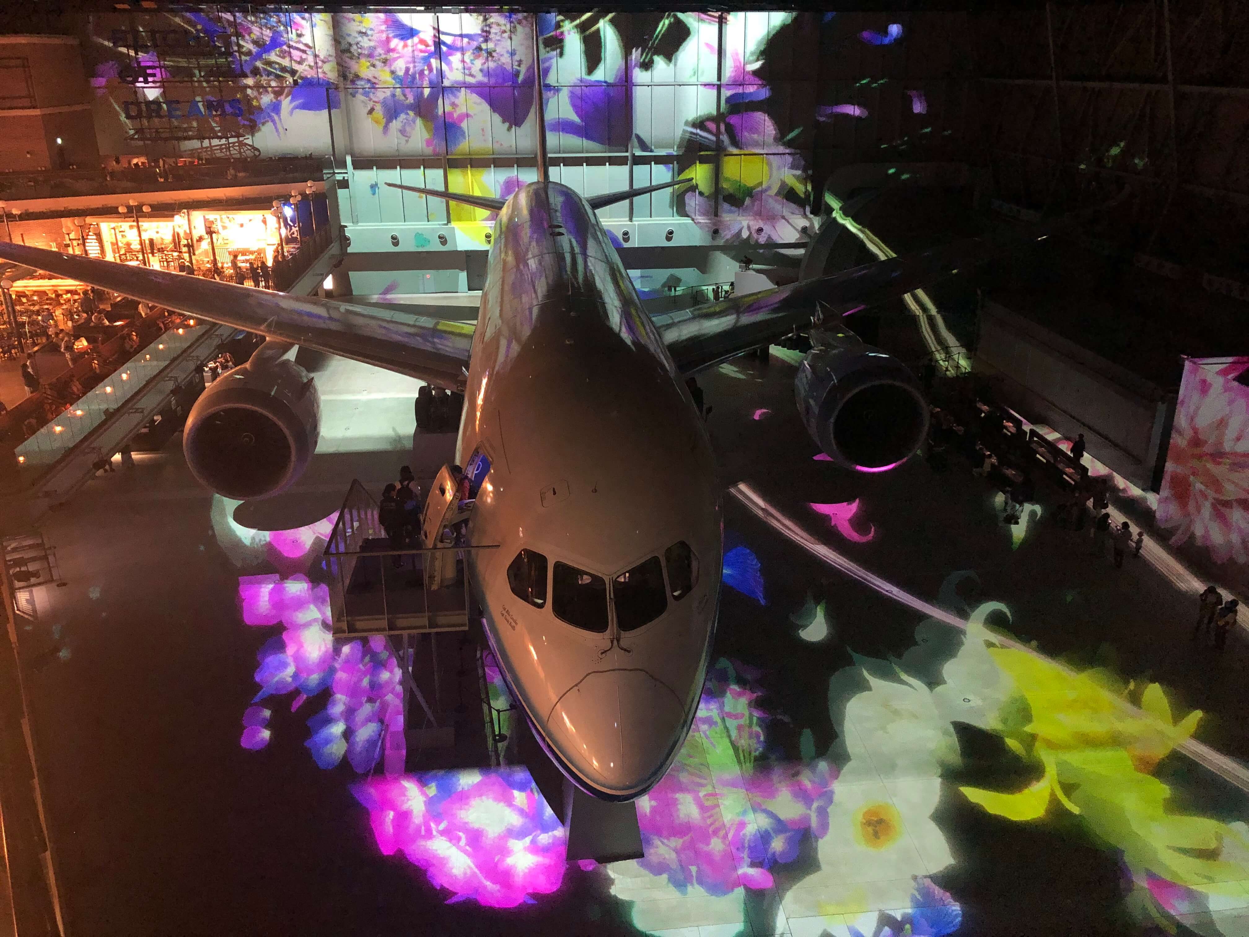 Teamlab 飛行機 シアトル気分が味わえるテーマパーク 中部空港 Non No Web ファッション 美容 モデル情報を毎日お届け