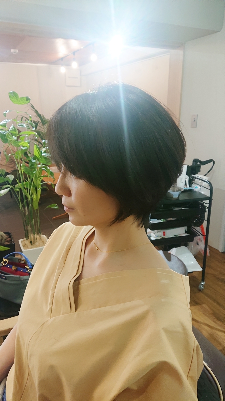 横の姿