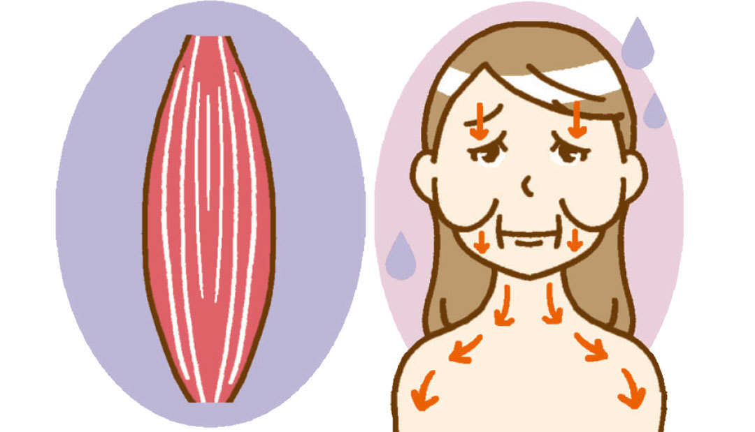 手だけではじめられる! 「こぶしかっさ」で今すぐ小顔 _1_5