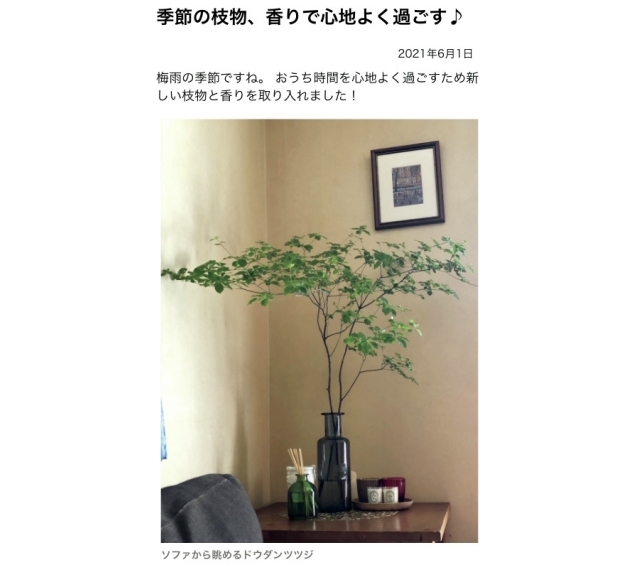 「季節の枝物、香りで心地よく過ごす」(chokoさん)