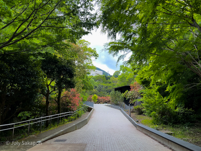 【さかぽんの冒険】本と温泉旅@湯河原惣湯〜中盤②_1_9