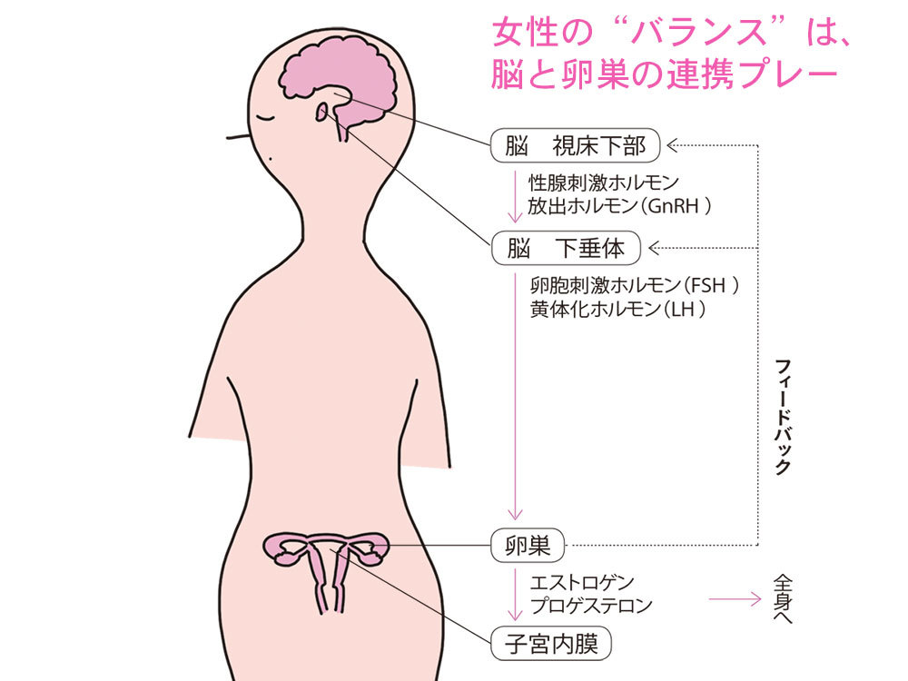 そもそも更年期ってどんなこと?【もしかして私、更年期?】_1_1