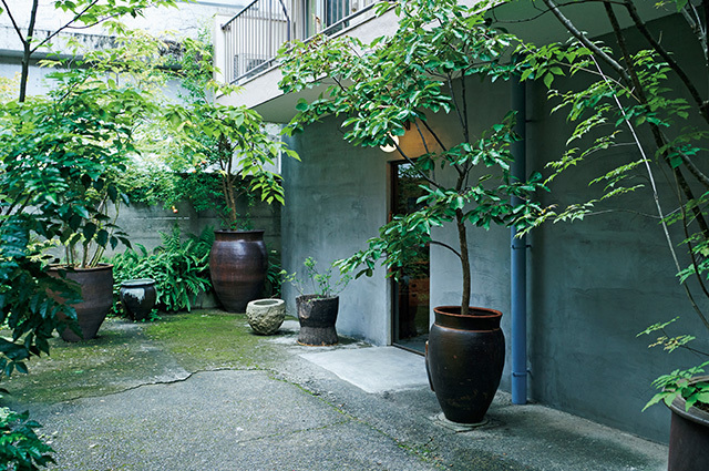 都心とは思えない、緑が多く静けさを感じる店構え。