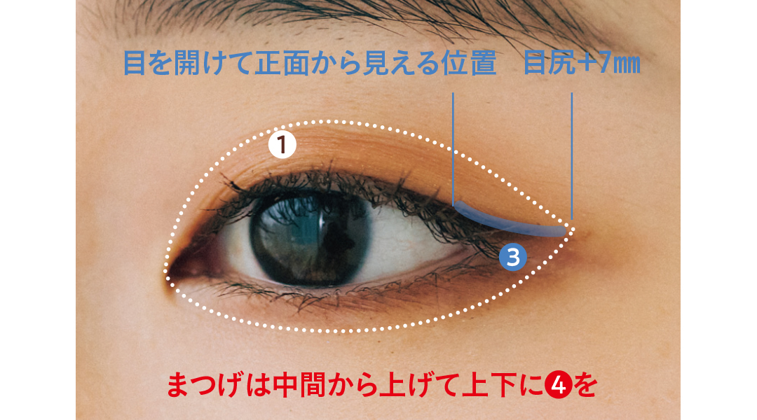 目を開けて正面から見える位置 目尻+7mm まつげは中間から上げて上下に4を