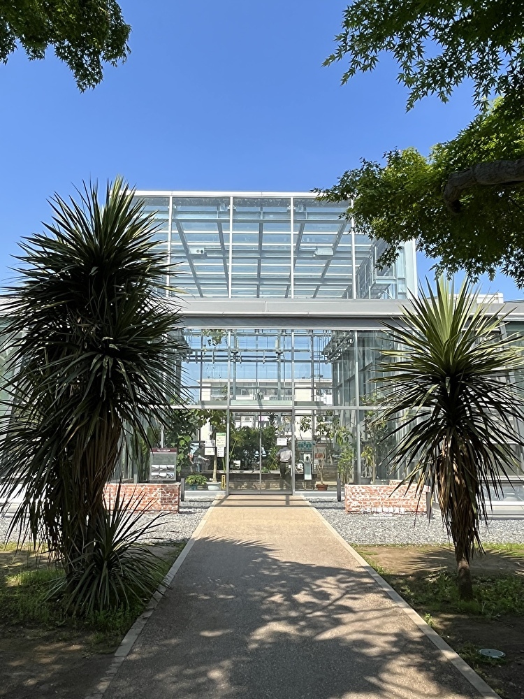 新緑の小石川植物園へ_1_3