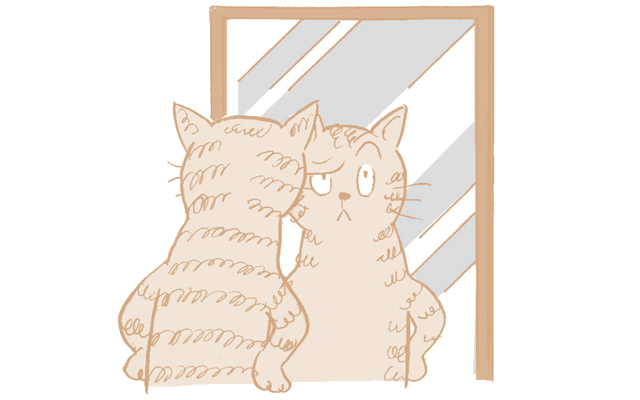 鏡の前で目や眉を動かす