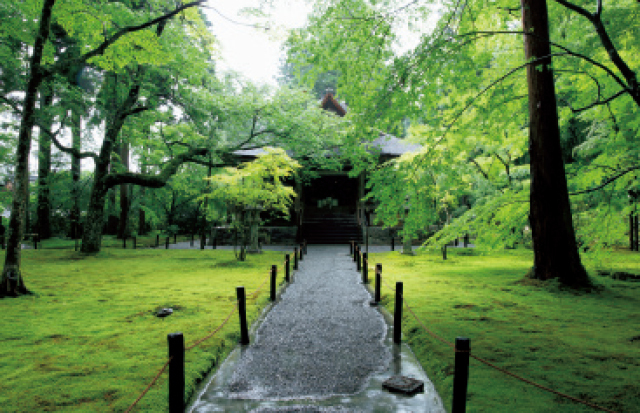 京都の皇室ゆかりの社寺 三千院の参道