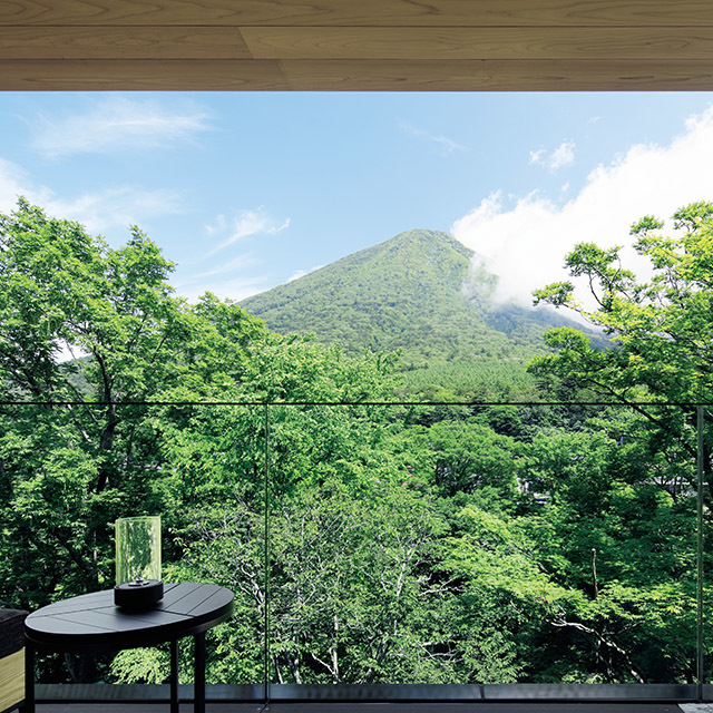 森の気配がすぐそばに。