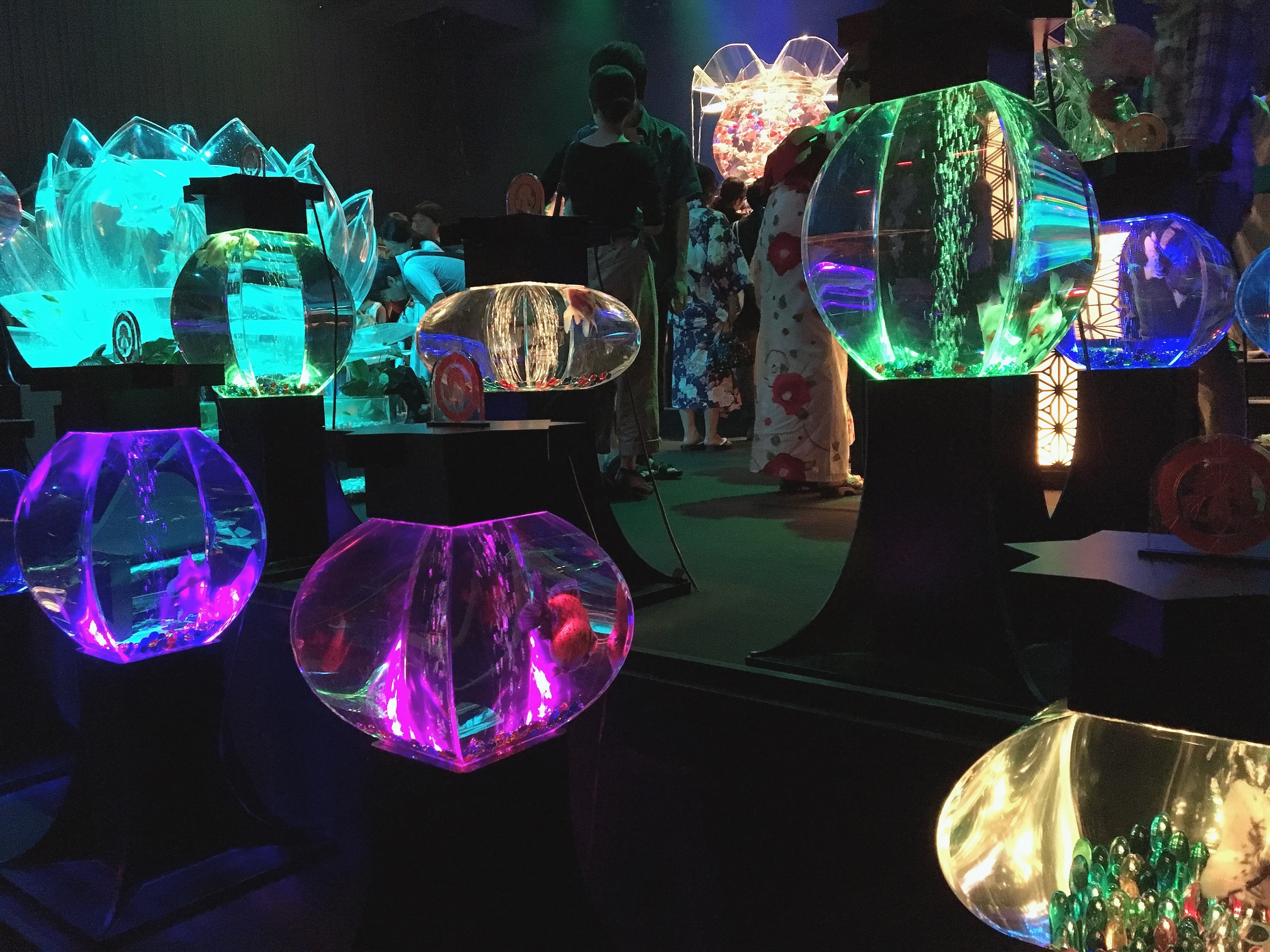 夏のお出かけに 涼しくて映える アートアクアリウム Happy Plus One ハピプラワン