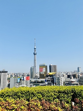 スカイツリーが見える景色
