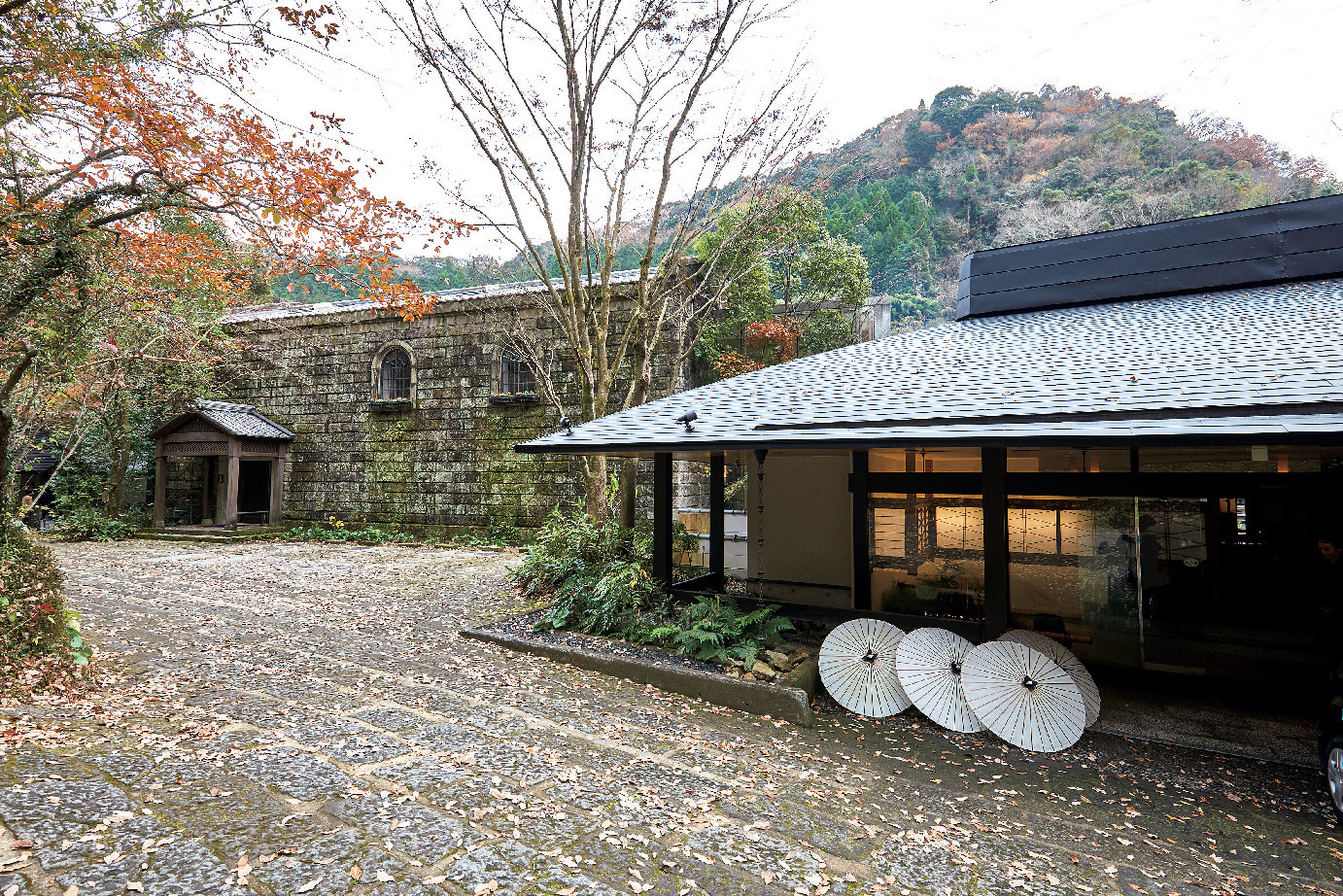大自然の湯と美味を楽しむ 器の宝庫・鹿児島の旅スポット五選_1_4