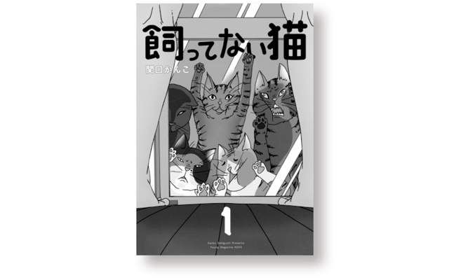 『飼ってない猫』