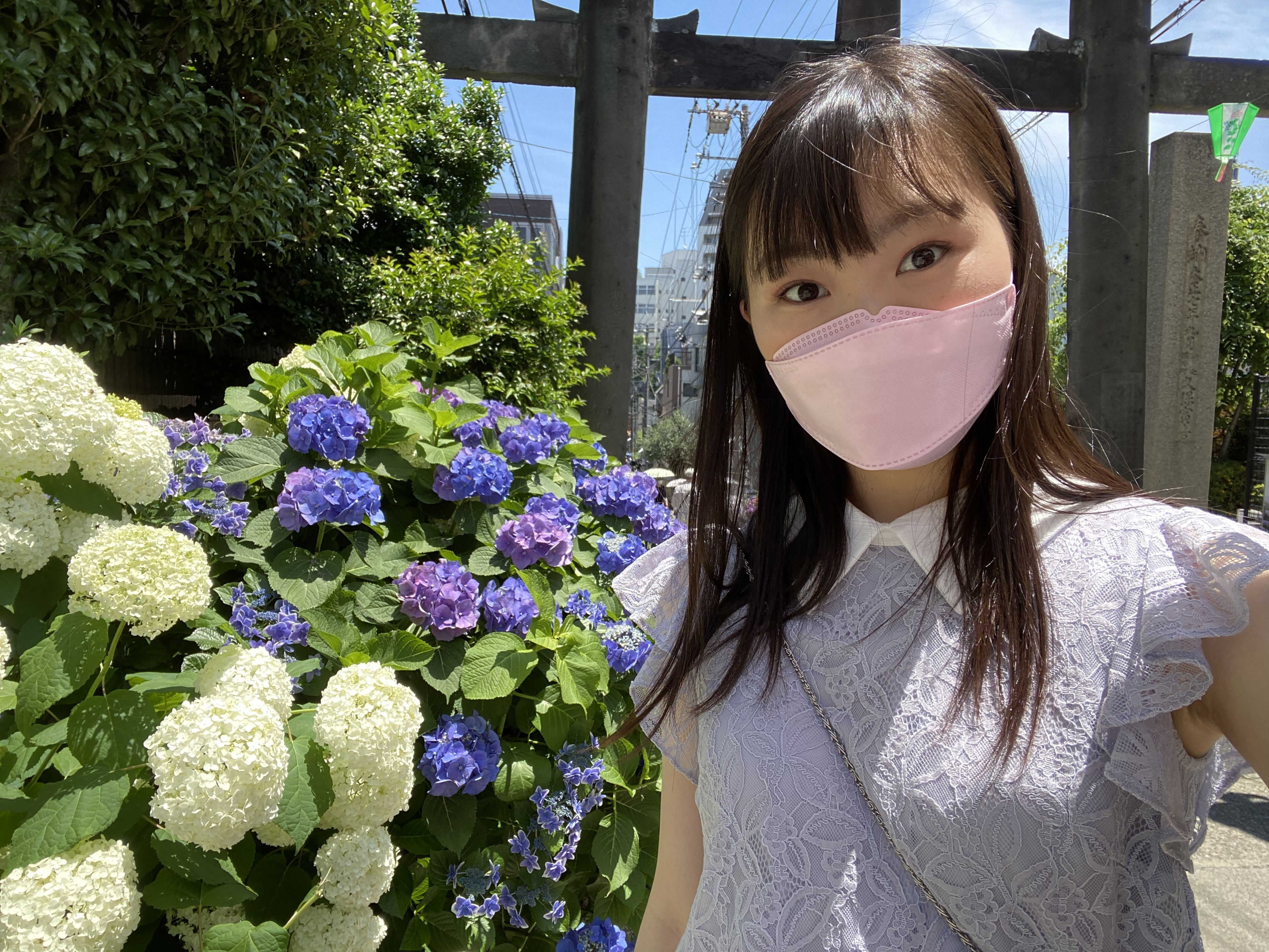 紫陽花の色に近い色のトップスを着て白山神社に行った時の写真です☺︎
