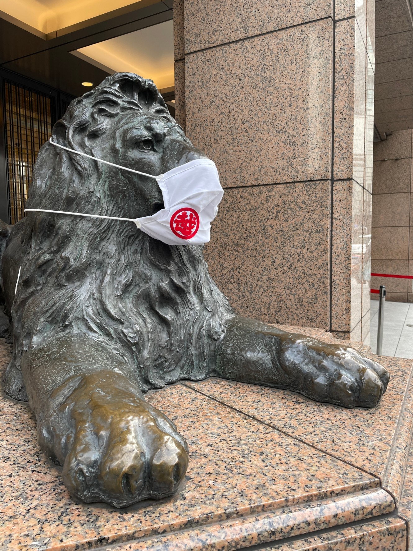 ライオン似 チームjマダム T Shocoのブログ チームjマダムブログ Web Eclat