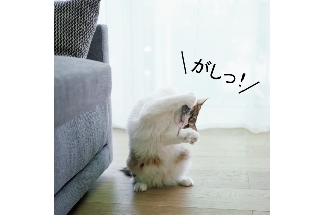 じーっと全集中、そして一瞬のうちにキャッチ!