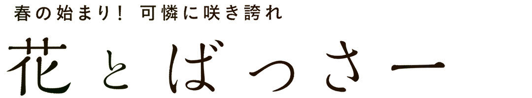 花とばっさー