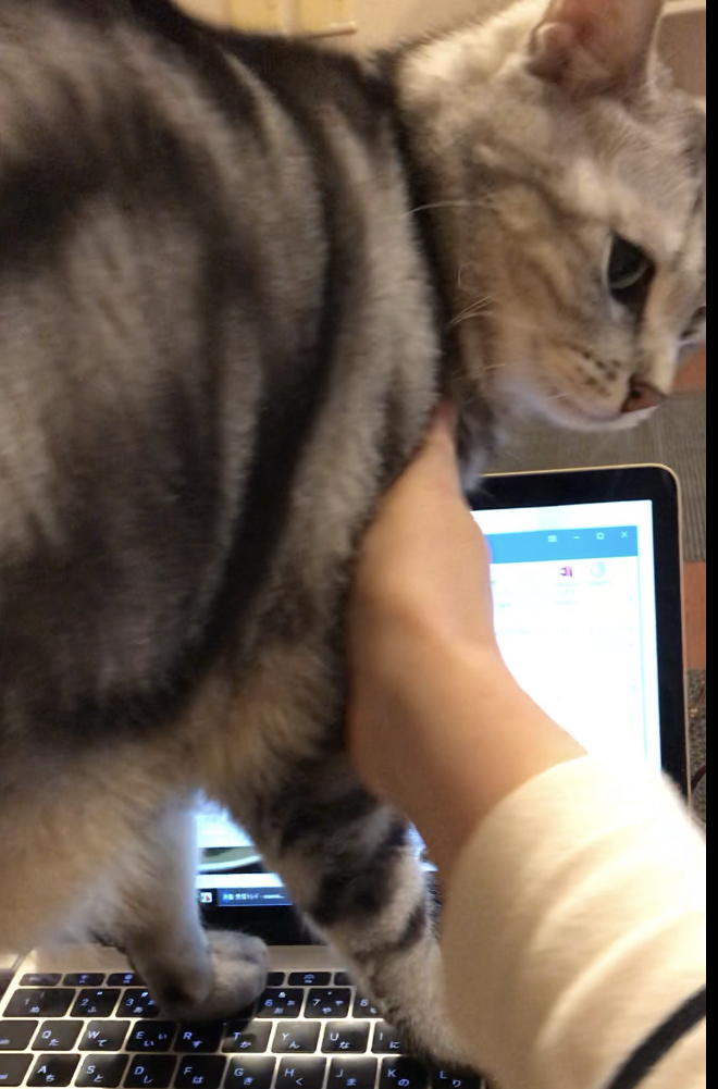 アラン テレワーク