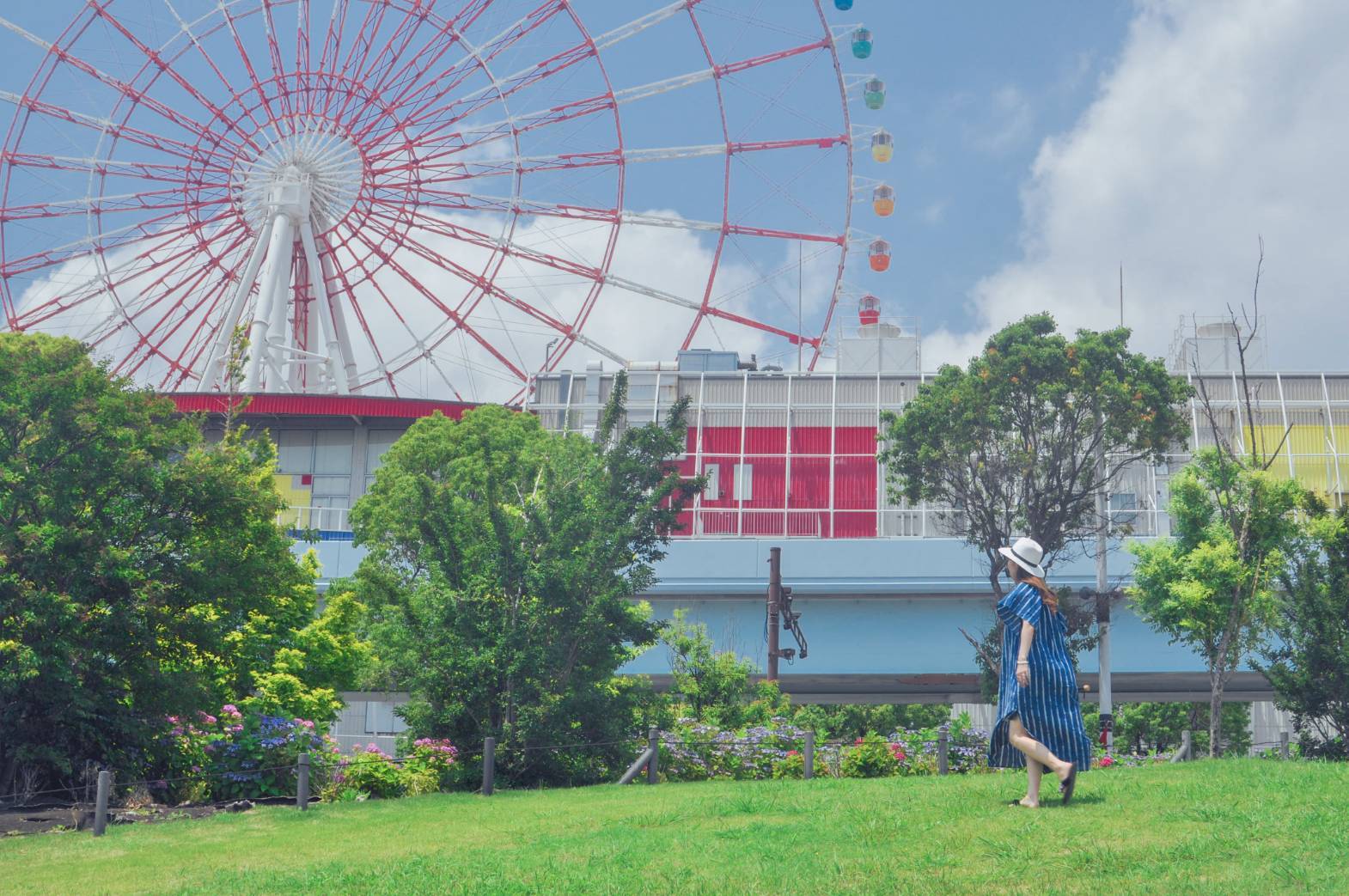 【さかぽんの冒険】初夏のお台場 あじさい散策_1_6