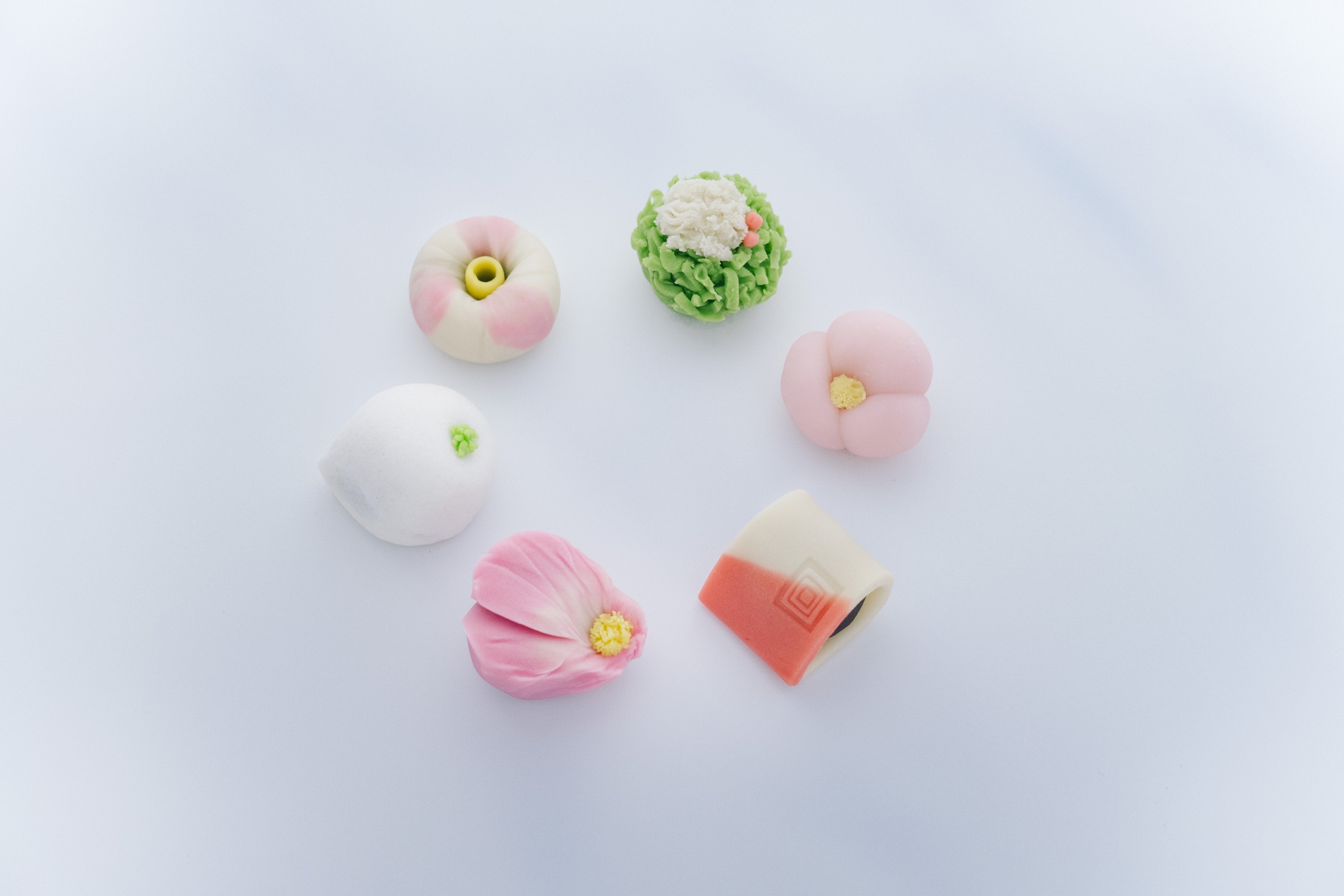 「季節の上生菓子」1個 ¥410。上の緑のものから時計回りに、「藪柑子」(きんとん/つぶ餡)、「姫椿」(外郎/白餡)、「顔見世」(煉切/こし餡)、「山茶花」(煉切/こし餡)、「京かぶら」(薯蕷/こし餡)、「侘び助」(煉切/こし餡)。日持ちは2日。