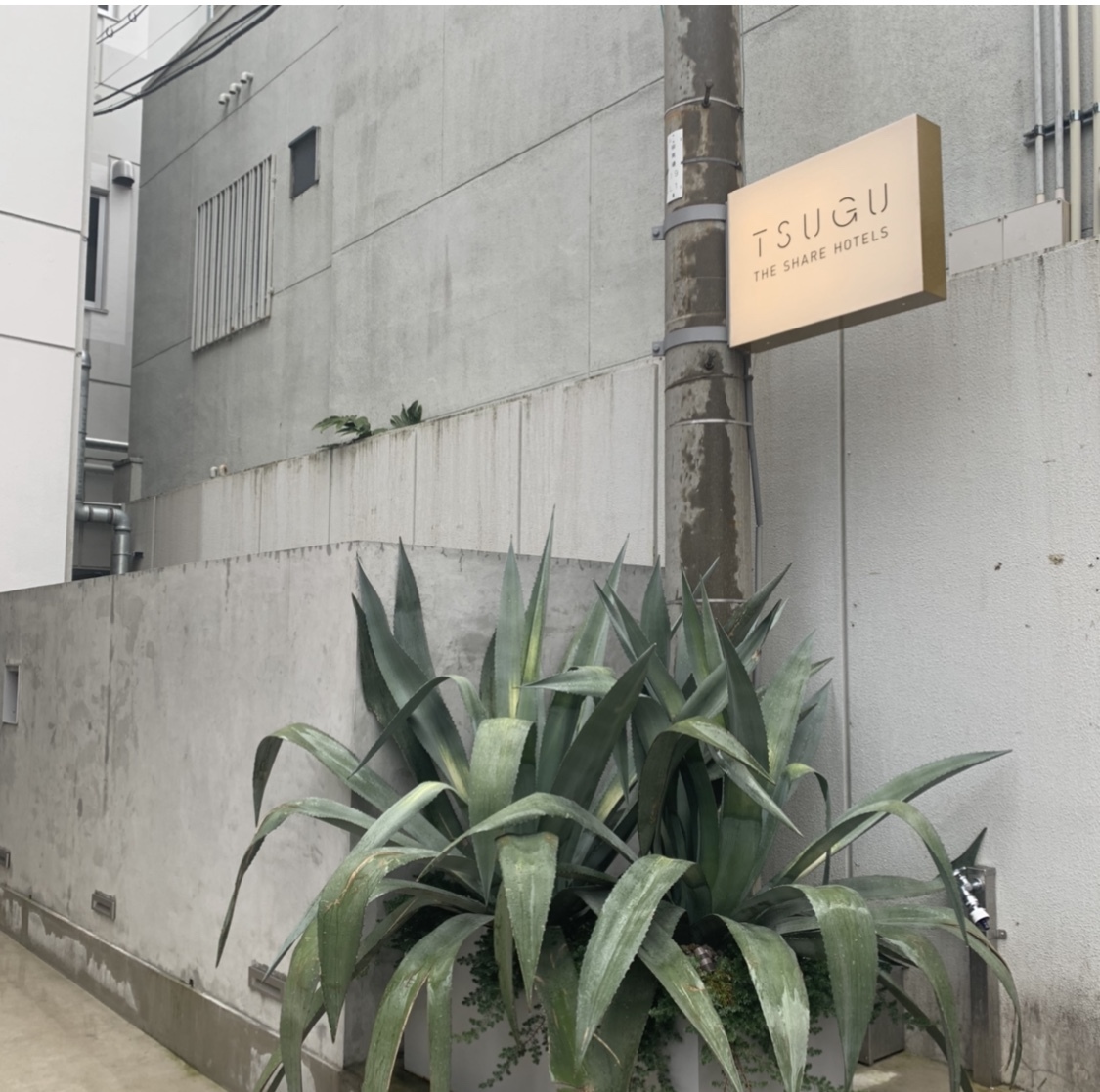 女子旅in京都 このホテル 本当は教えたくない Non No Web ファッション 美容 モデル情報を毎日お届け