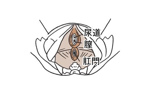 下から見ると こうなってる!