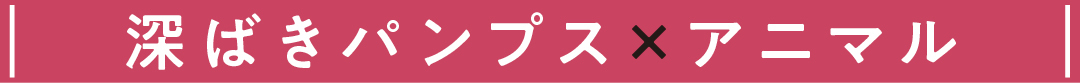 深ばきパンプス×アニマル