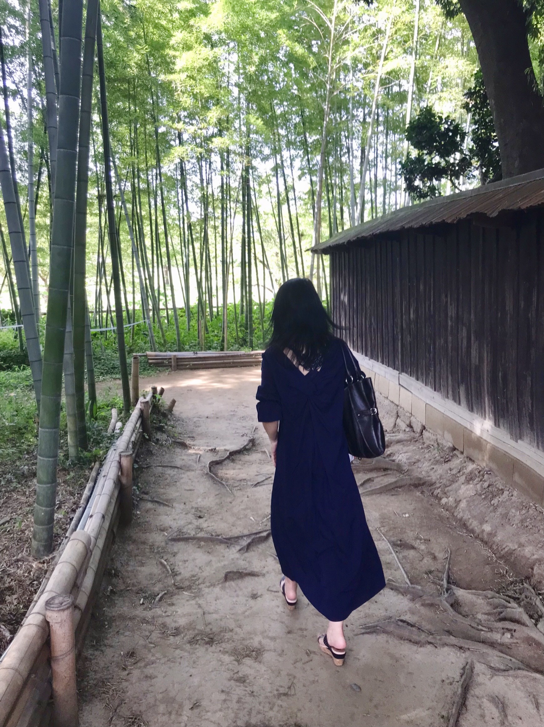 敷地内の竹林/中の家