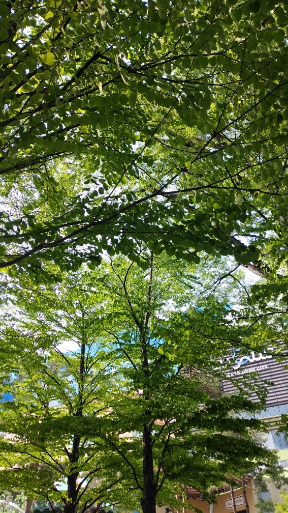 東京ドームシティ