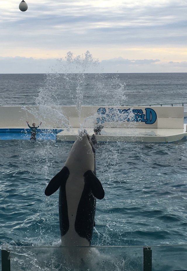 冬の水族館&温泉で大人のデート_1_5