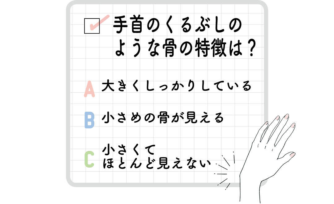 骨格タイプ別やせ方診断チャート1-6