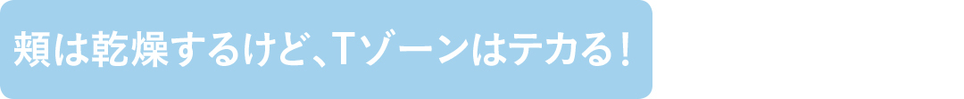 頬は乾燥するけど、Tゾーンはテカる!