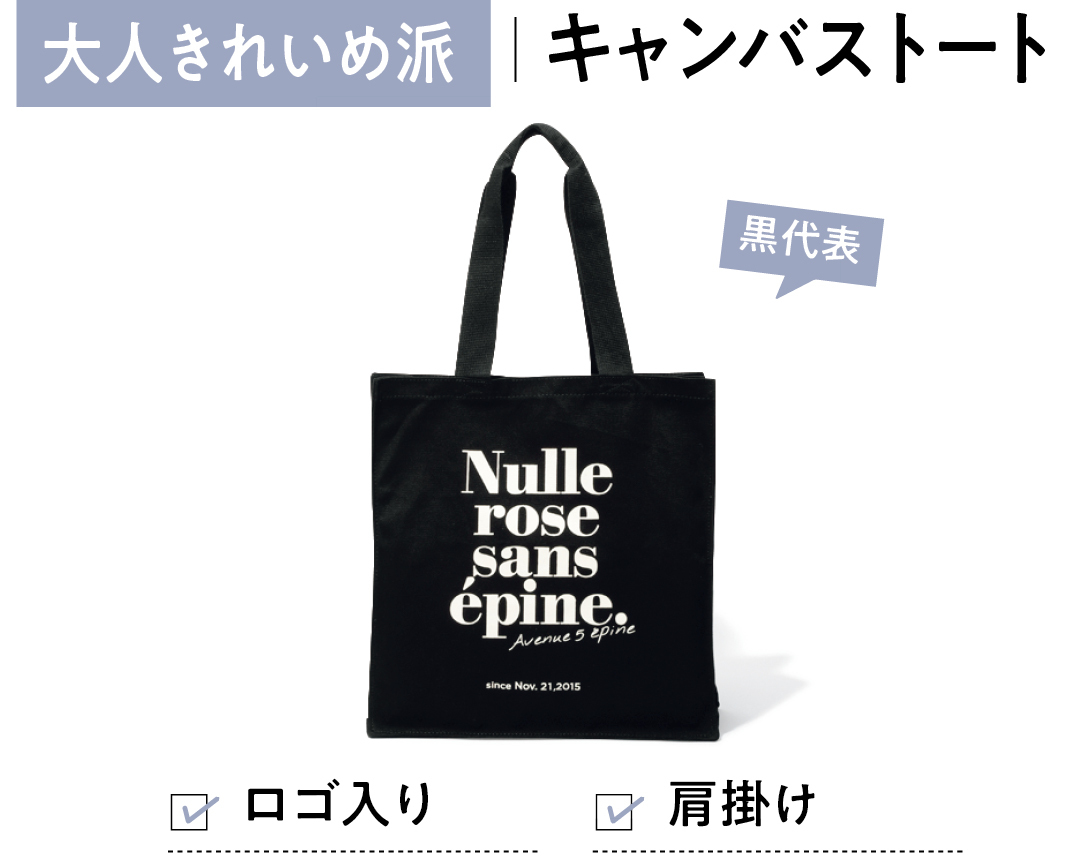 大人きれいめ派 キャンバストート