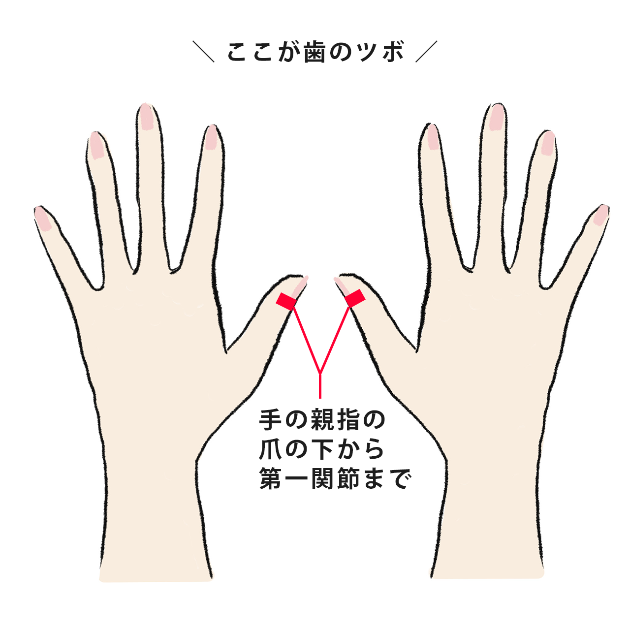 せき・頭痛・腹痛 etc. 外出先でもすぐに押せる「手のツボ」で不調とサヨナラ!【40代 ヘルスケア】_1_10