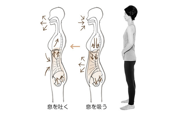 骨盤底筋群