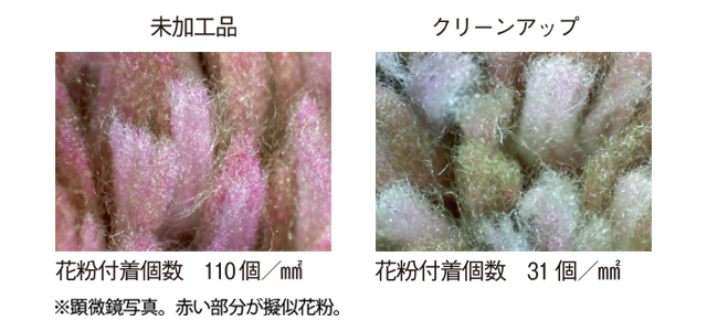 「なんとかしたい!」をニトリで解消 花粉対策まで考えた快適な春の部屋づくり_1_6